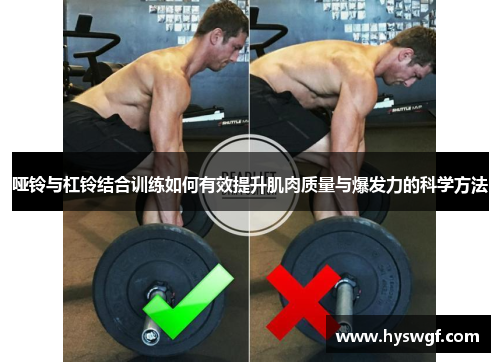哑铃与杠铃结合训练如何有效提升肌肉质量与爆发力的科学方法