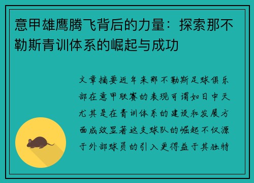 意甲雄鹰腾飞背后的力量：探索那不勒斯青训体系的崛起与成功