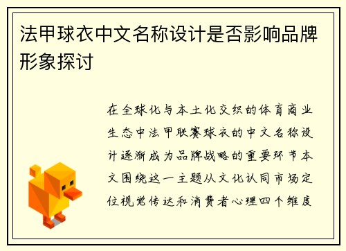 法甲球衣中文名称设计是否影响品牌形象探讨