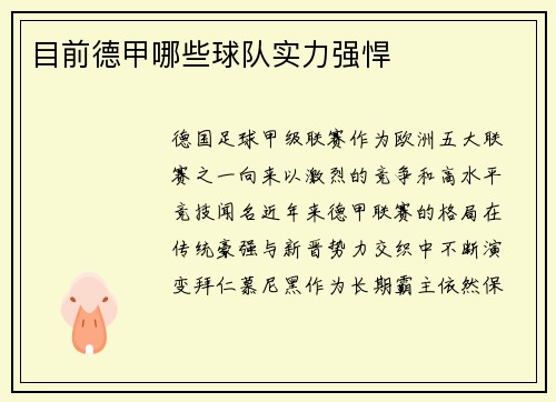 目前德甲哪些球队实力强悍
